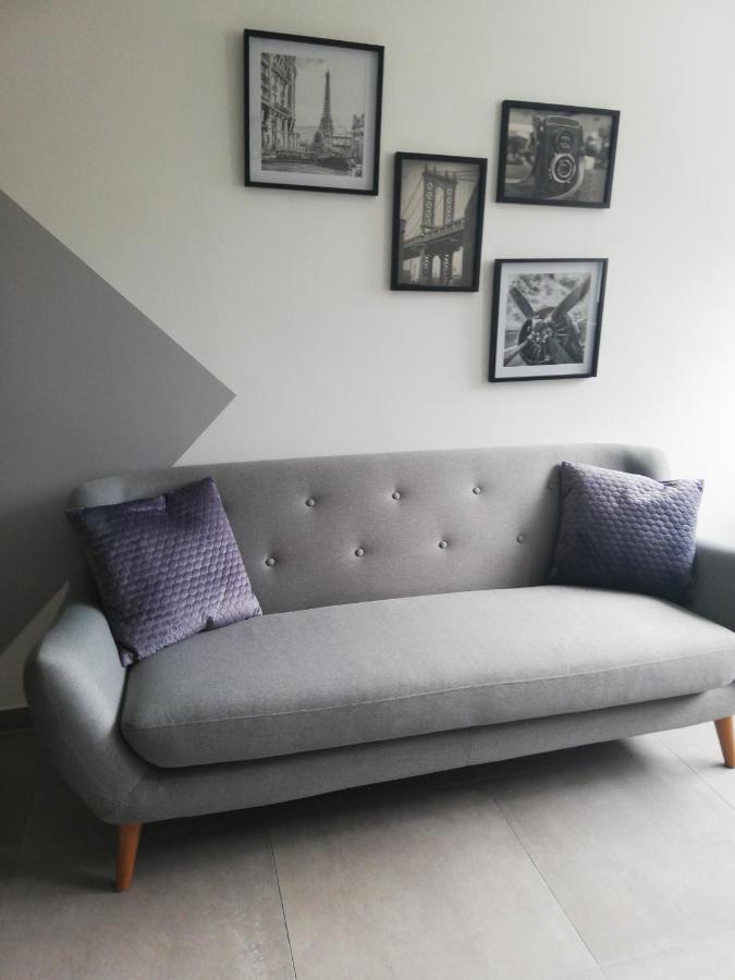 La Casa D'Ernestine Apartment Colmar Ngoại thất bức ảnh