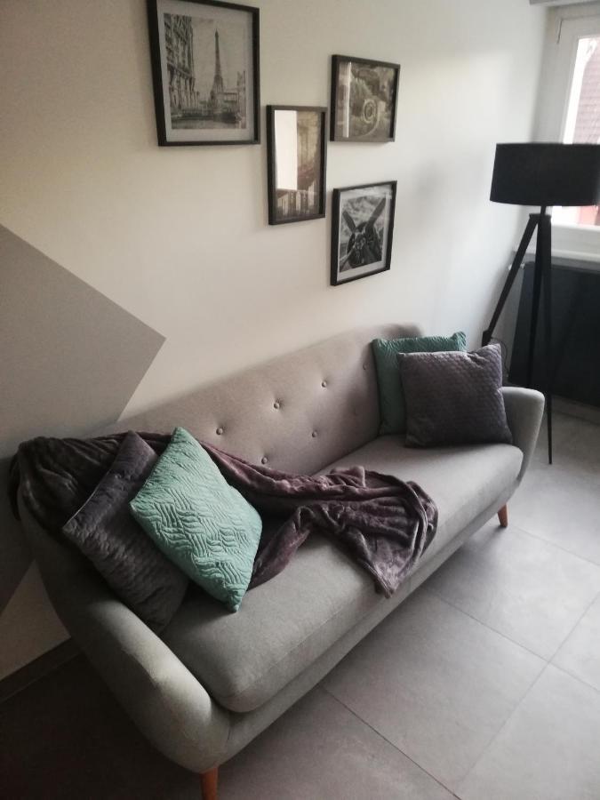 La Casa D'Ernestine Apartment Colmar Ngoại thất bức ảnh